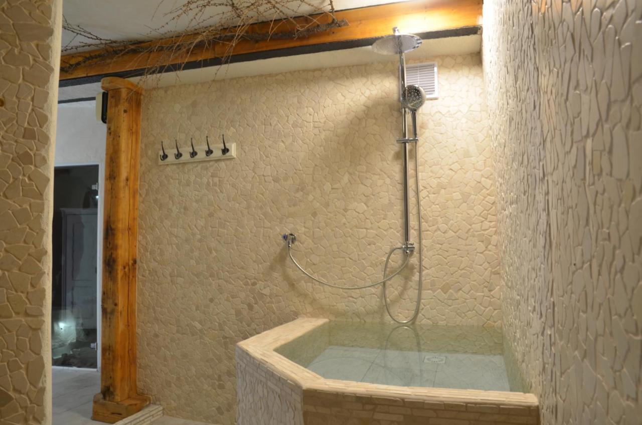 Bed & Breakfast Welness Modry Jelen 4*